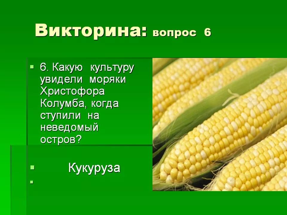 Какой культурой является кукуруза. Кукуруза презентация. загадка про кукурузу. интересные факты о кукурузе. сообщение о кукурузе.