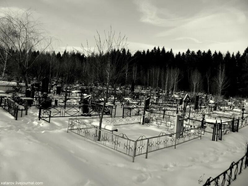 Madness Creatures of Sunset IW Инициалы: M.C.S. 2025 ВКонтакте