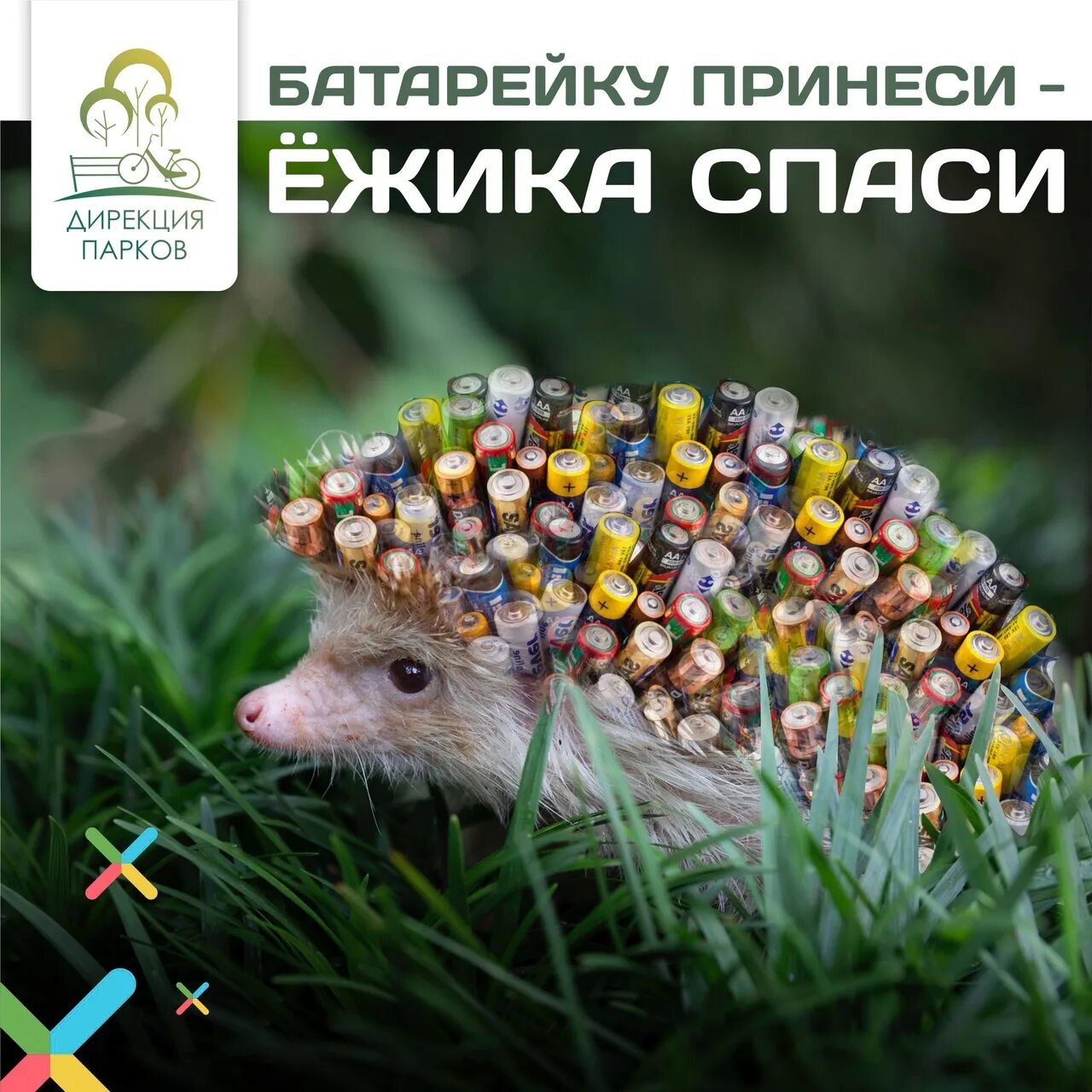 Акция спасем ежика батарейки. Батарейку принеси ежика спаси. акция спаси ёжика по сбору батареек. акция батарейку принеси ежика спаси. сбор батареек спаси ежика.