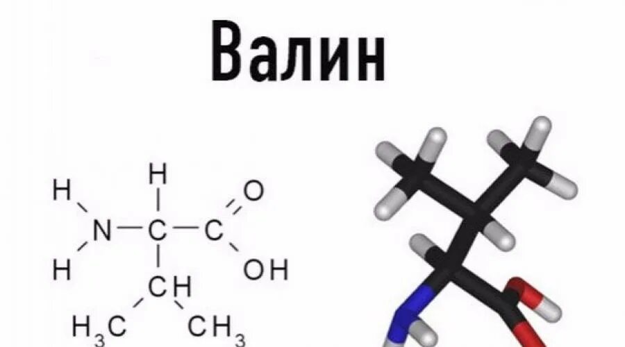 Валин молекулярная формула. Валин аминокислота формула. Валин аминокислота формула. Валин строение аминокислоты. 2-амино-3-метилбутановая кислота валин.