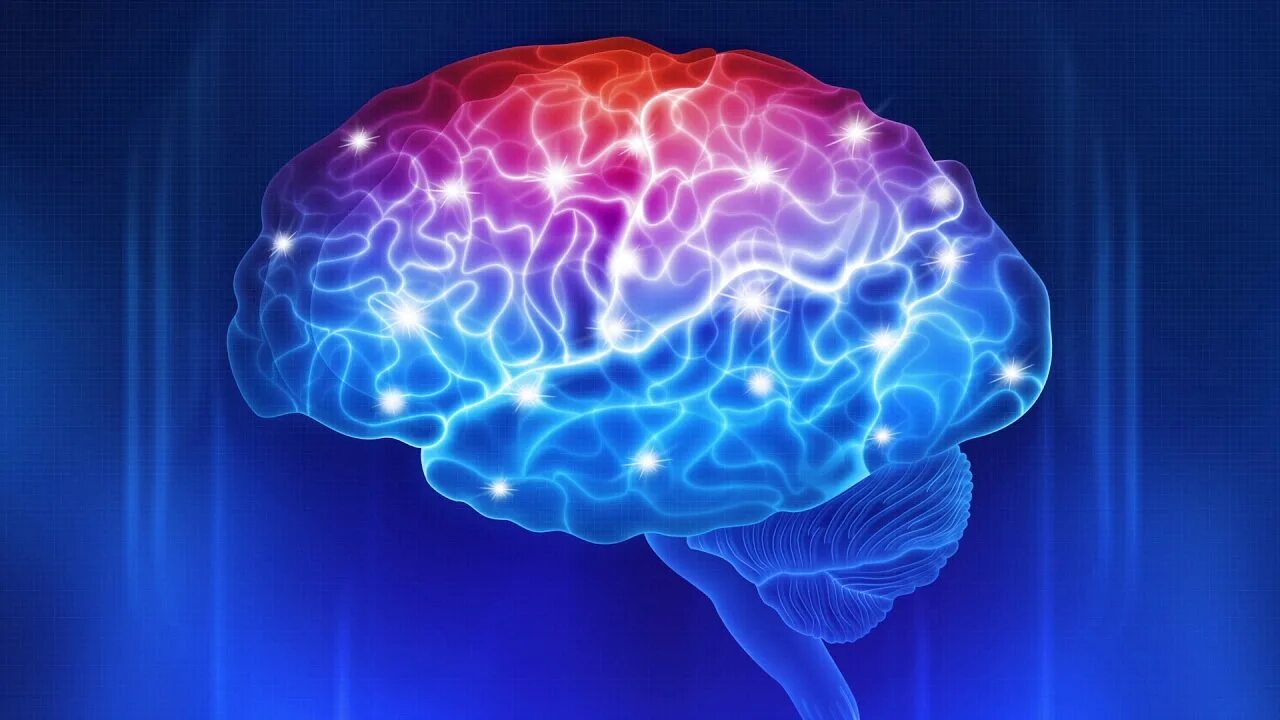 Re brain
