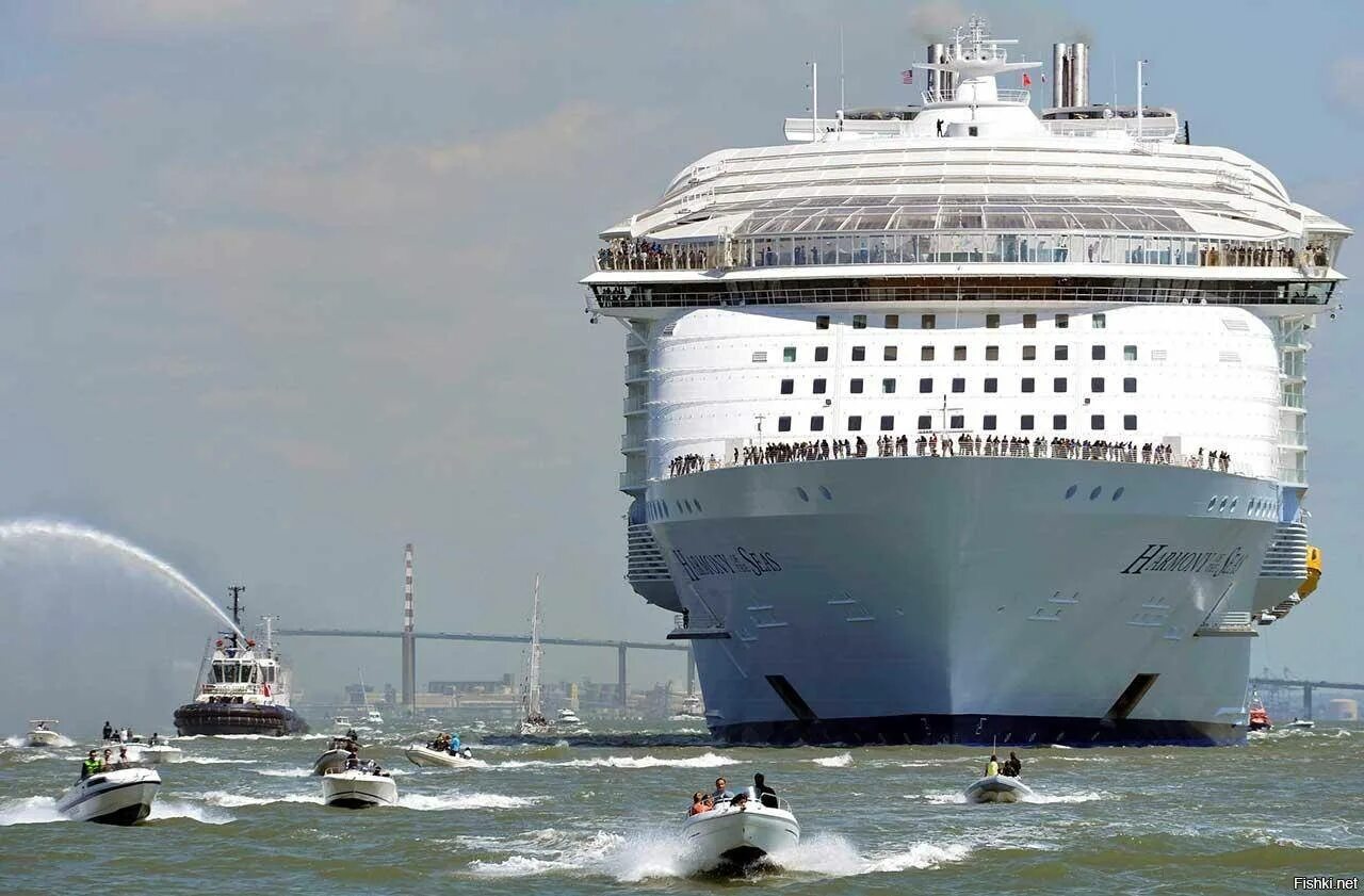 10 круизных лайнеров. 10 круизных лайнеров. Круизный лайнер очарование морей. Круизный корабль msc. Лайнер msc.