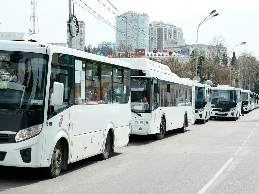 Сочи 25 апреля. Общественный транспорт Сочи. Автобусы Сочи. Сочи новые автобусы. Маршрутные автобусы Россия.