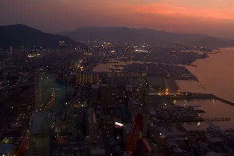 View m