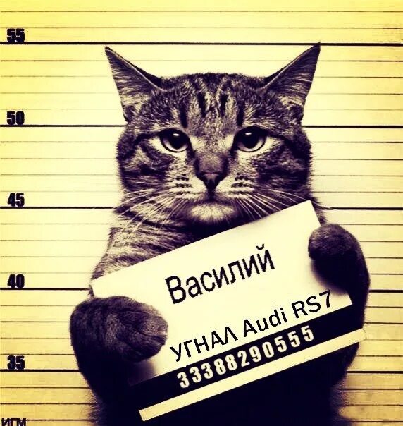 Братан наваливай
