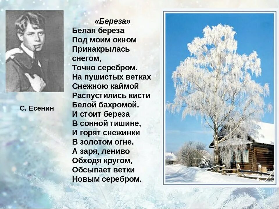 Стихотворение Есенина белая береза. Есенин стихи белая береза под моим окном текст. Белая берёза под моим окном Автор. Зимнее стихотворение есенина