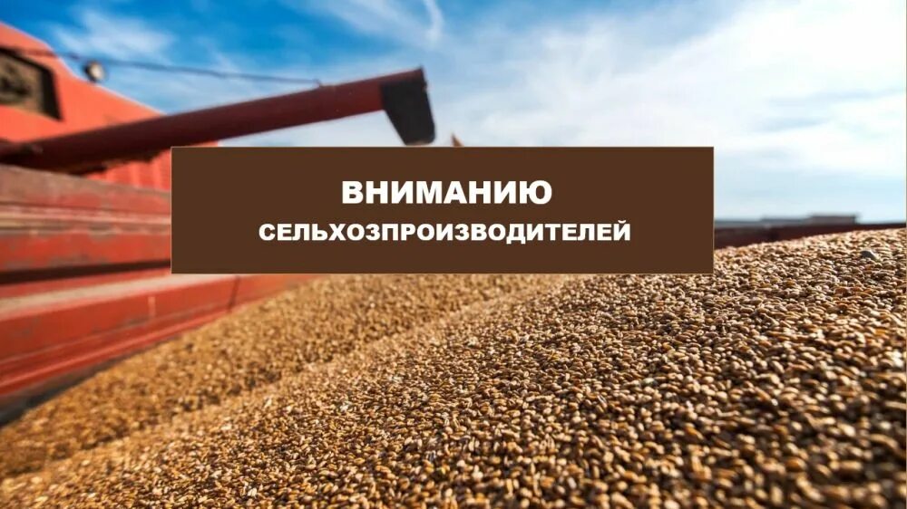 Государственный мониторинг зерна. Система прослеживаемости зерна. система прослеживаемости зерна и продуктов его переработки. фгис зерно. переработка зерновых продуктов.