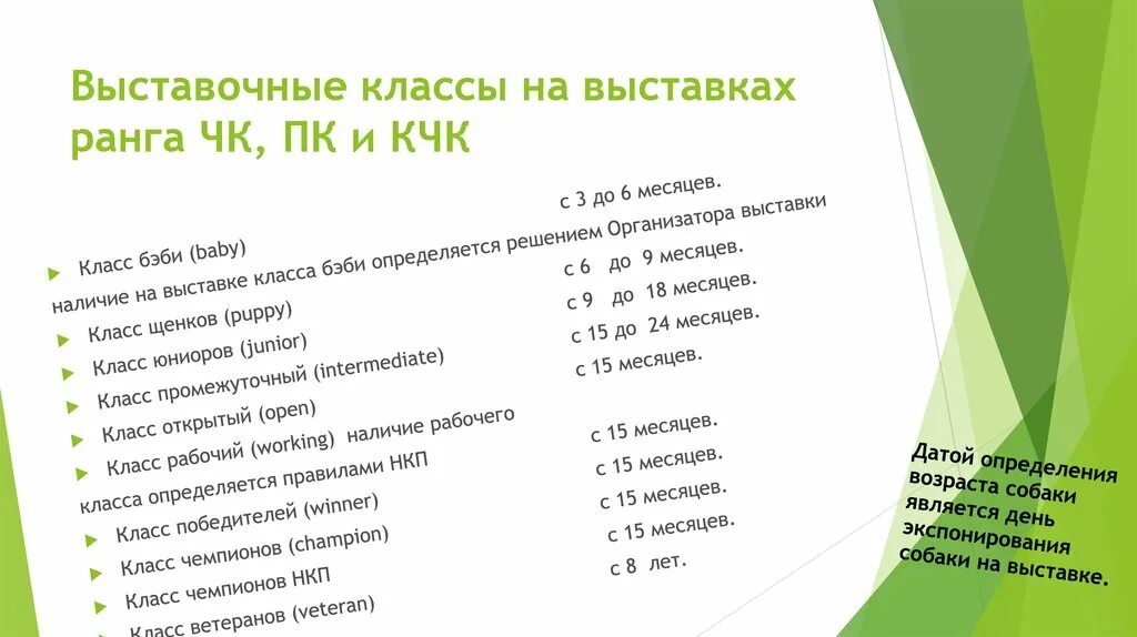 Классы собак на выставке. Титулы собак по возрасту. Классы собак на выставке по возрасту. Выставочные классы собак. Классы на выставках собак по возрасту РКФ.