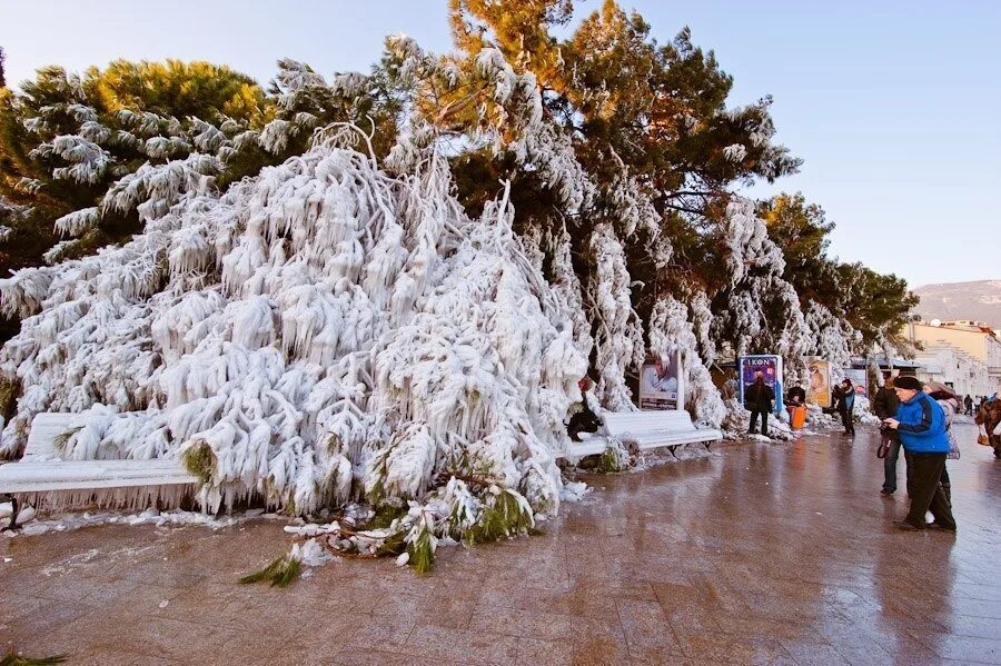 Температура в ялте сегодня. Ялта в снегу. Зимняя Ялта. Ялта зима 2012. Ялта замерзшее море.