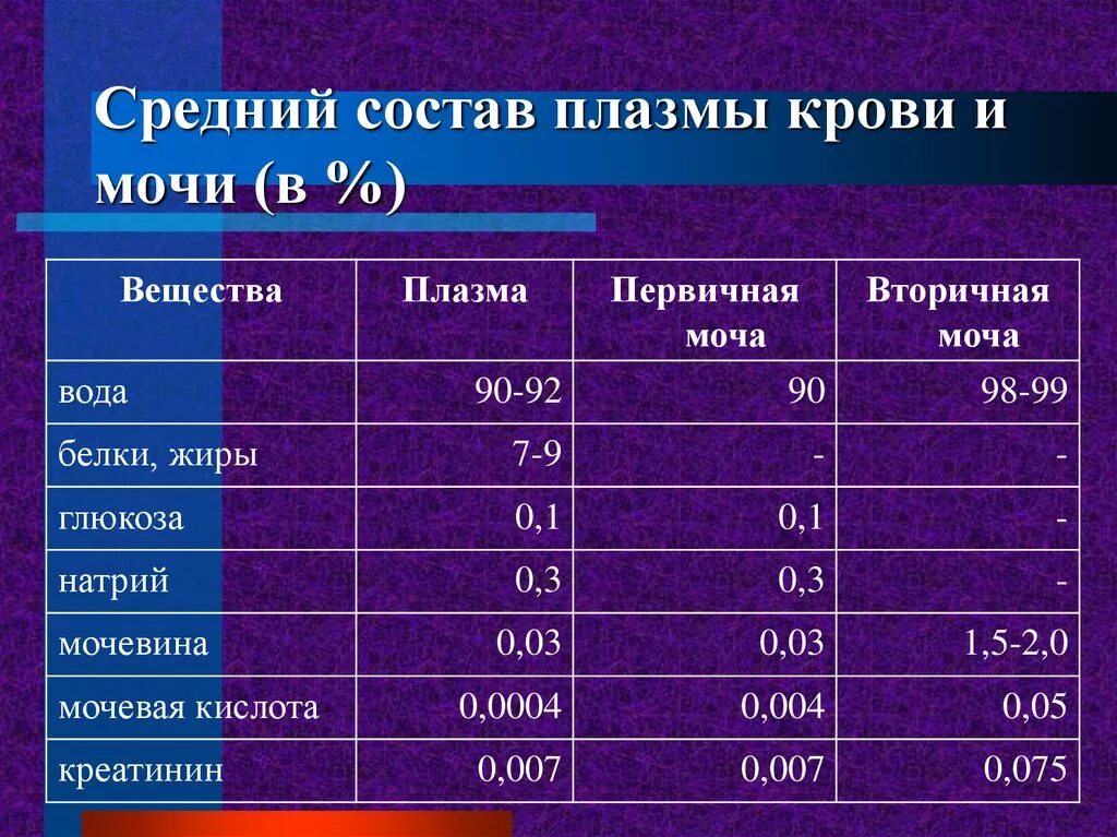 Первичная моча отличается от плазмы крови отсутствием. Плазма крови первичная и вторичная моча. Состав первичной мочи и плазмы крови. Состав мочи первичная и вторичная проценты. Состав крови первичной и вторичной мочи.