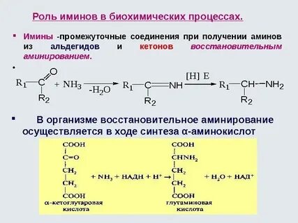 Продуктом взаимодействия альдегидов с аминами являются