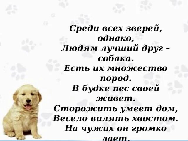 Стих про собаку. Длинные стихи про собаку. Красивые стихи про собак. Стихи о собаках спасателях. Стихи про собак веселые.