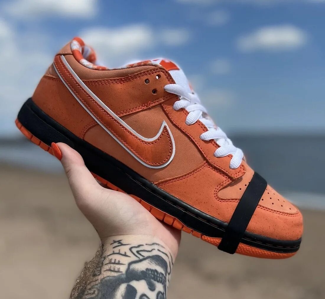 Найк лобстер. Nike SB Dunk Orange Lobster. Nike SB Dunk. Nike SB Dunk Low. Nike SB Dunk Low Orange Lobster.