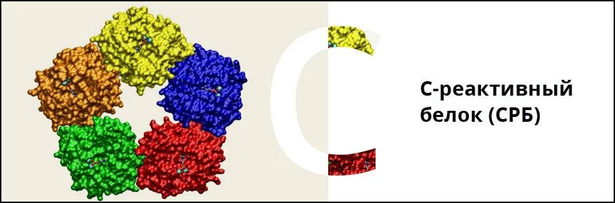 Что покажет срб в крови. Белки острой фазы с реактивный белок. Исследование уровня с-реактивного белка. Реактивы на белок. С-реактивный белок (СРБ).