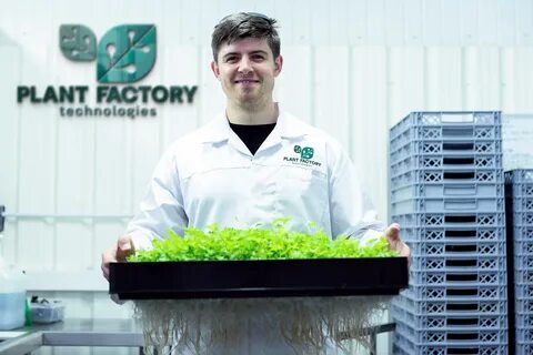 Plant завод