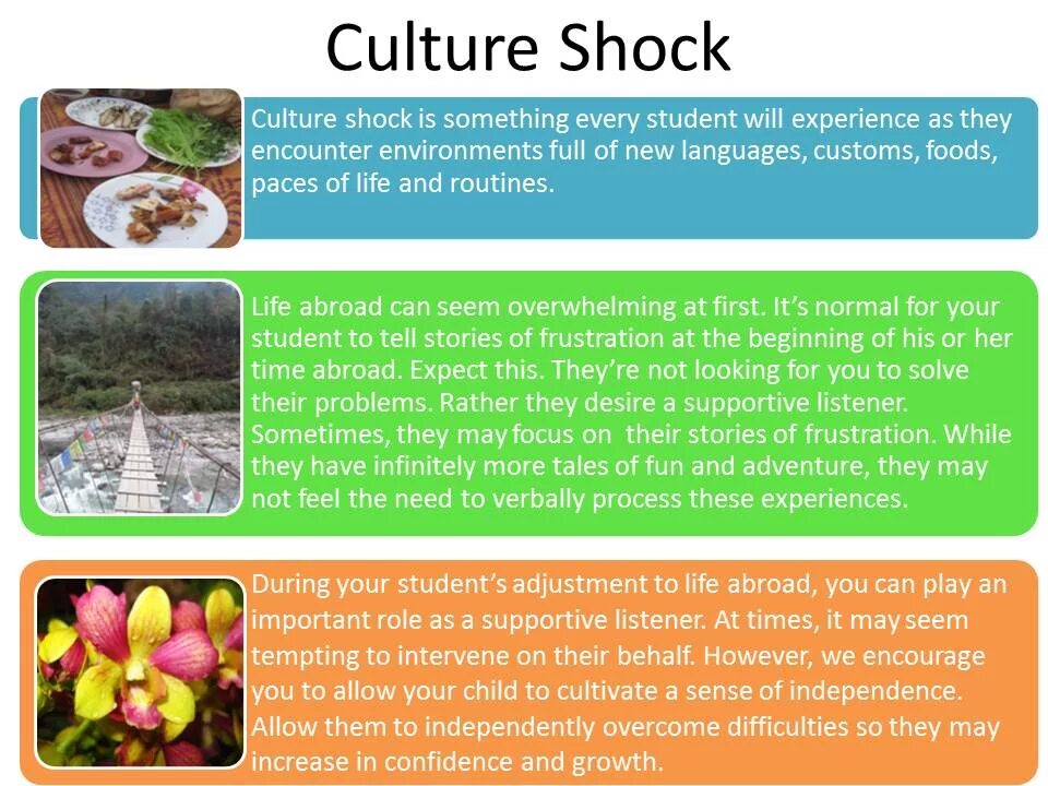 Culture shock. Corporate culture definition. Corporate culture elements. Cultural web. Language and culture relation.