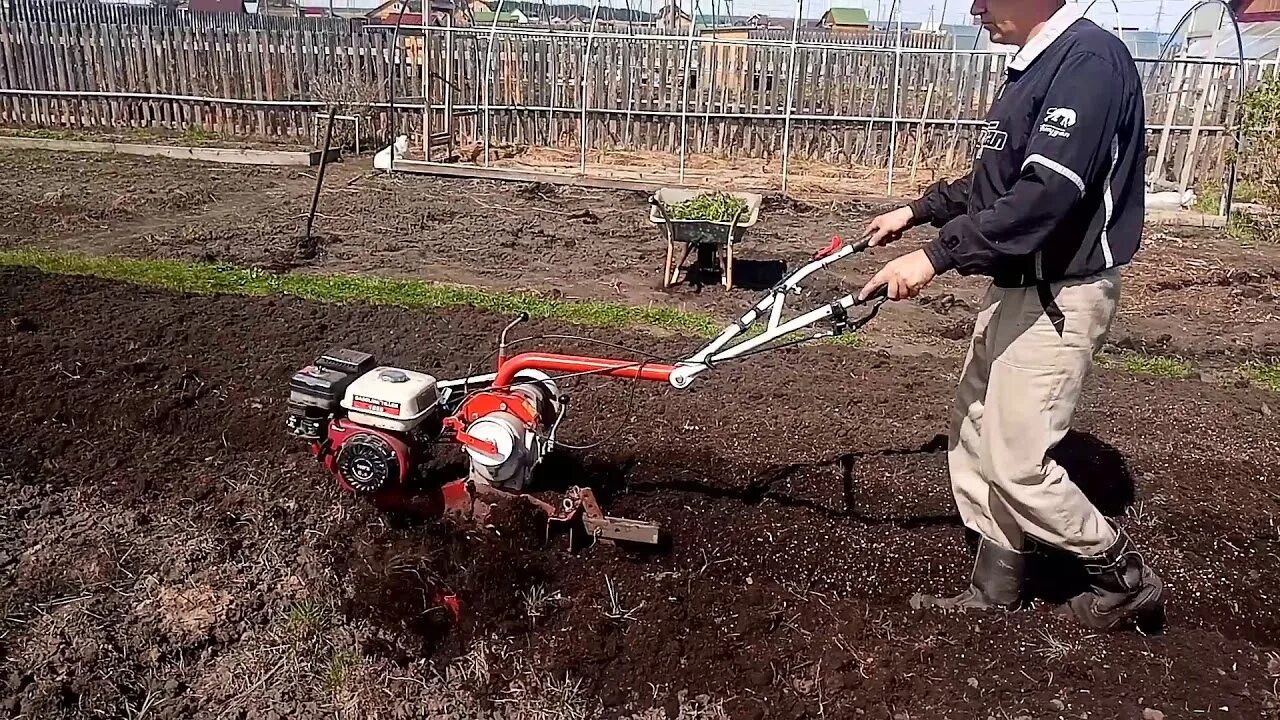 Мотоблок агат вспашка земли. Мотоблок агат вспашка плугом. Мотоблок агат пахота. Вспашка земли мотоблоком Wema. Вспашка мотоблоком видео