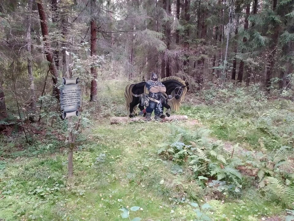 Заповедник во владимирской области. Заповедники Владимирской области. Заказники Владимирской области. Заповедники Муромского района Владимирской области. Заповедники и национальные парки Владимирской области.