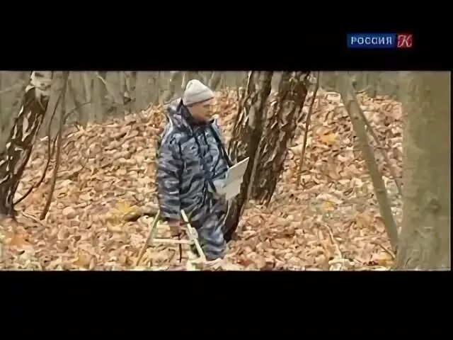 След эхо