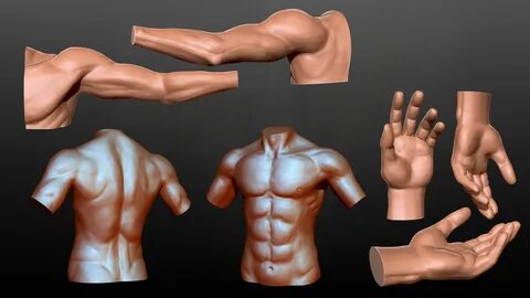 Model features