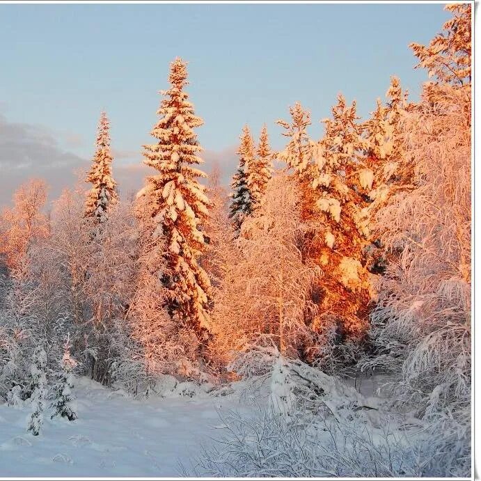 Is winter beautiful. Тайга зимой. Красота сибирской природы зимой. Лес Сибири зимой. Зимний пейзаж Тайга.