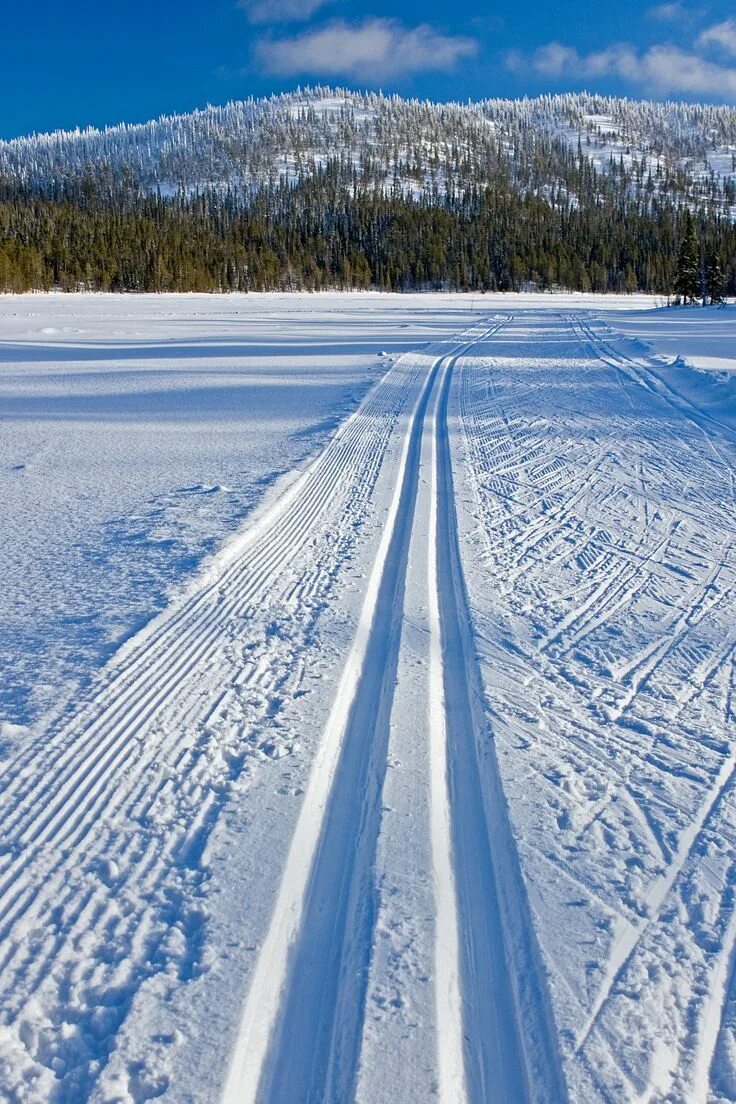 Ski tracks. Лыжи на лыжне. Лыжные трассы. Зимняя Лыжня. Лыжня в горах.