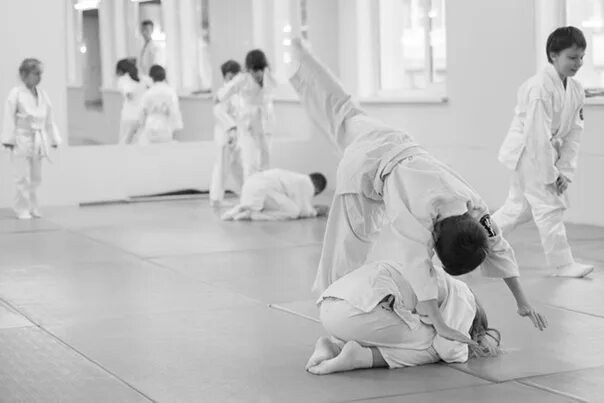 Айкидо различия и карате. Боевые искусства японии айкидо. Суэйзи айкидо. Чем отличается айкидо. Айкидо и джиу-джитсу.