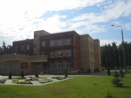 55 сад отзывы