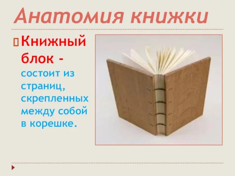 Какие были книги презентация. Книжный блок. Книжный блок состоит из. Библиотечный урок книжные корешки. Будь здорова книжка.
