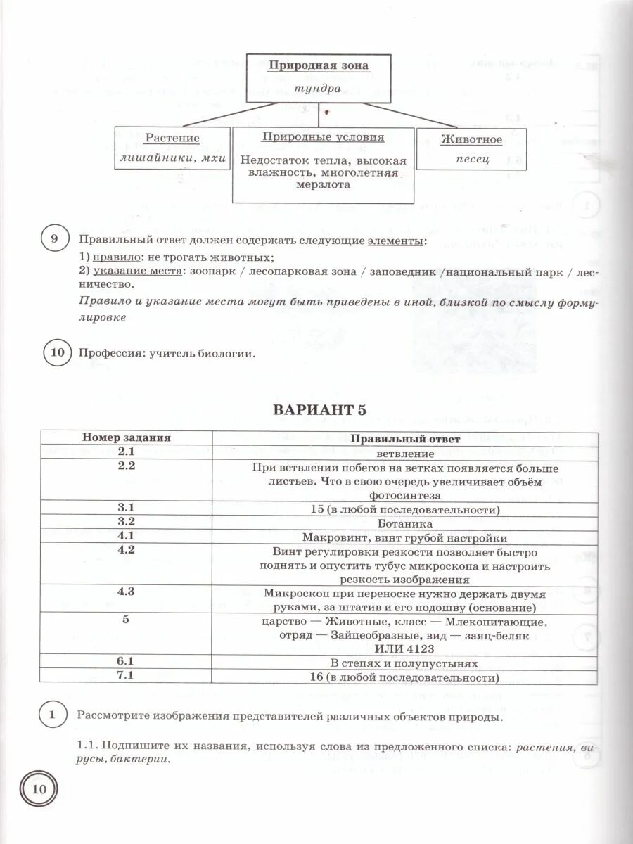 Впр по биологии 5кл. ВПР по биологии 5 класс Банникова Касаткина шариков ответы. ВПР по биологии 5 класс Банникова Касаткина шариков. ВПР по биологии 5 класс н. а. Банникова ответы. Биология ВПР 5 класс 2022 Банникова.