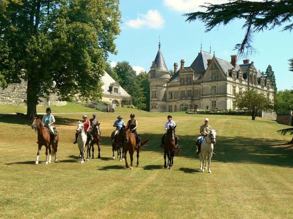 King horses. Французские конюшни. Туризм во Франции. Сельский туризм во Франции. Конюшни во Франции.