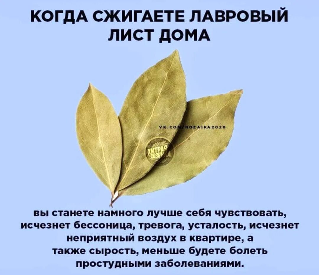 Помоги листочку