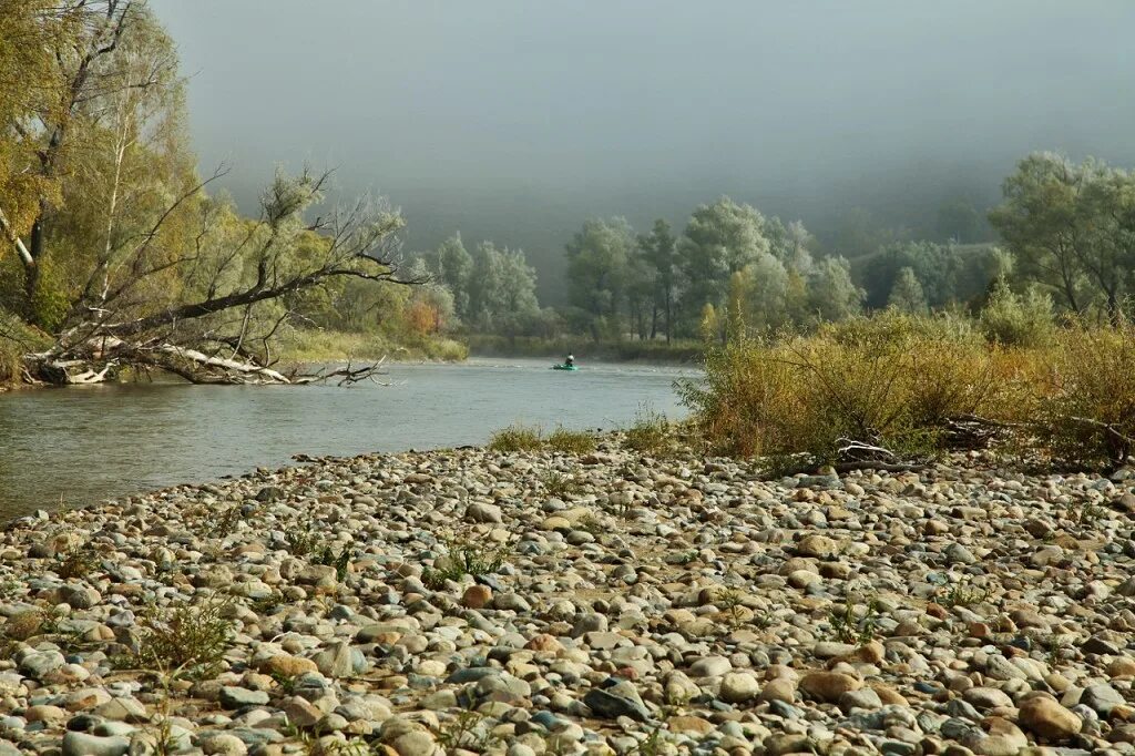 Уровень воды в чарыше на сегодня