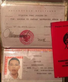 Дата рождения 2006