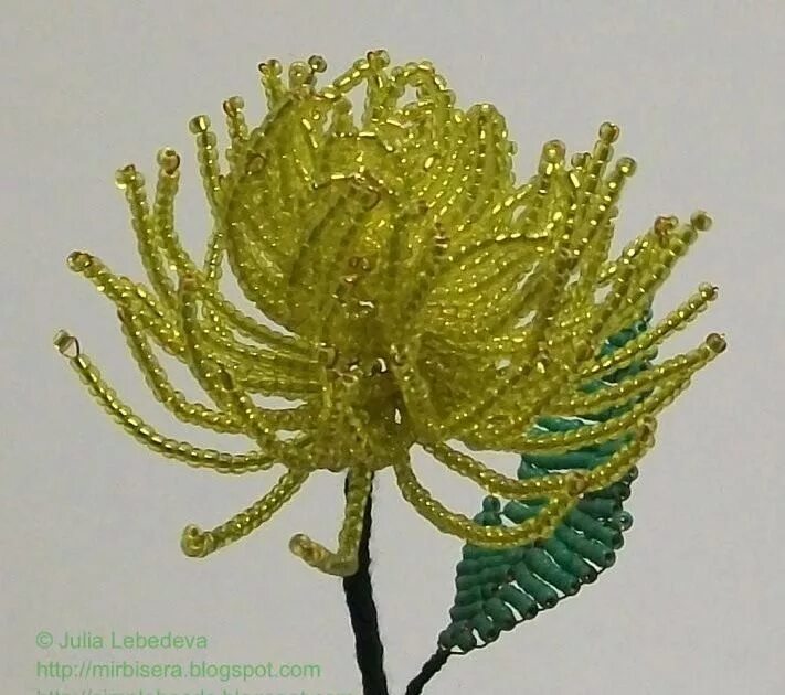 Цветы из бисера техника. Хризантема вегейл бисера. Плетение бисером цветы. Хризантема из бисера. Бисероплетение хризантемы.