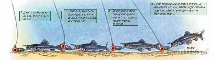 Лов на дне. Ловля судака на джиг головку. Джиг с лодки на течении. Ловля на джиг с лодки на течении. Ловля на джиг в отвес с лодки.