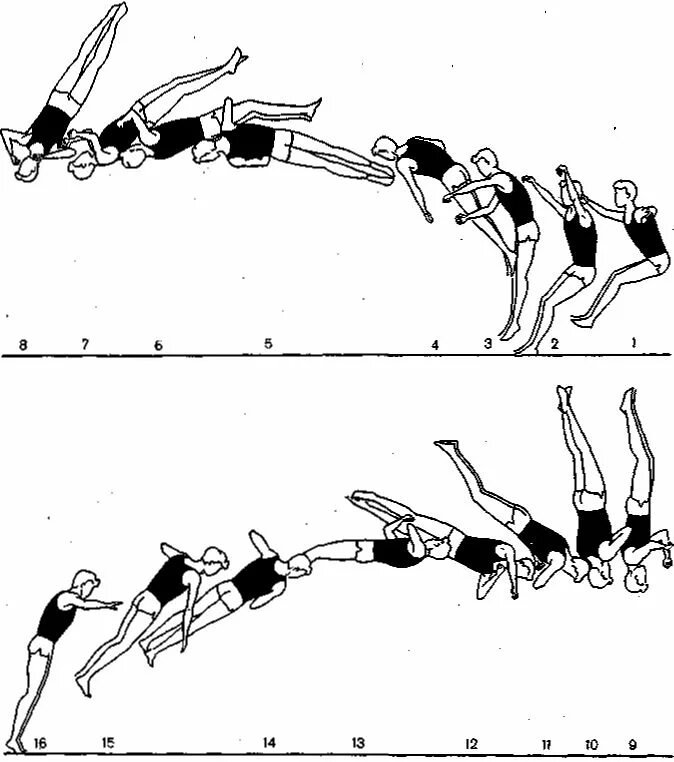 Боковое сальто. Сальто схема. Сальто техника. Заднее сальто. Как делать сальто вперед