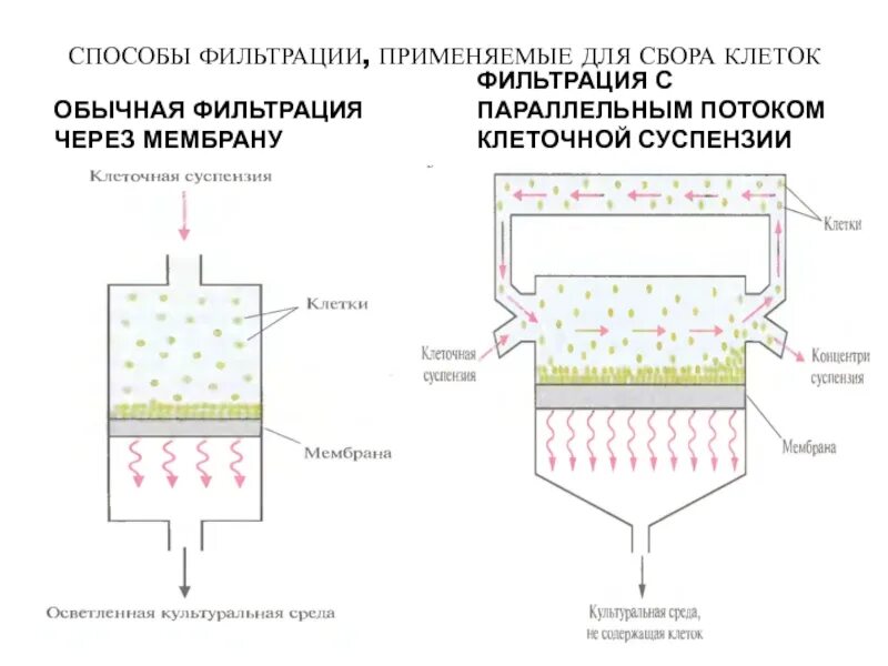 Методы фильтрации изображений