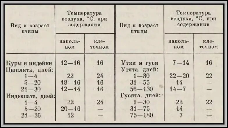 Температурный режим содержания утят. Тепловой режим для уток. Температурный режим режим для утят. Температурно влажностный режим в птичнике. Температура тела кур