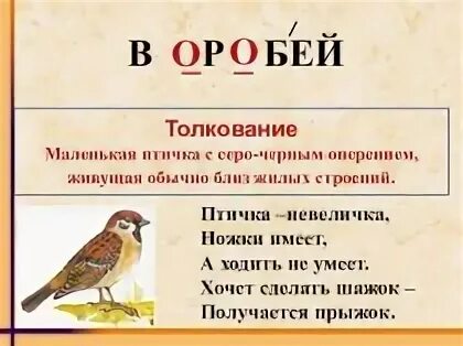 Составь предложение из слова воробей. Слово Воробей. Предложение со словом Воробей. Презентация на словарное слово Воробей. Воробей словарное слово 1 класс.