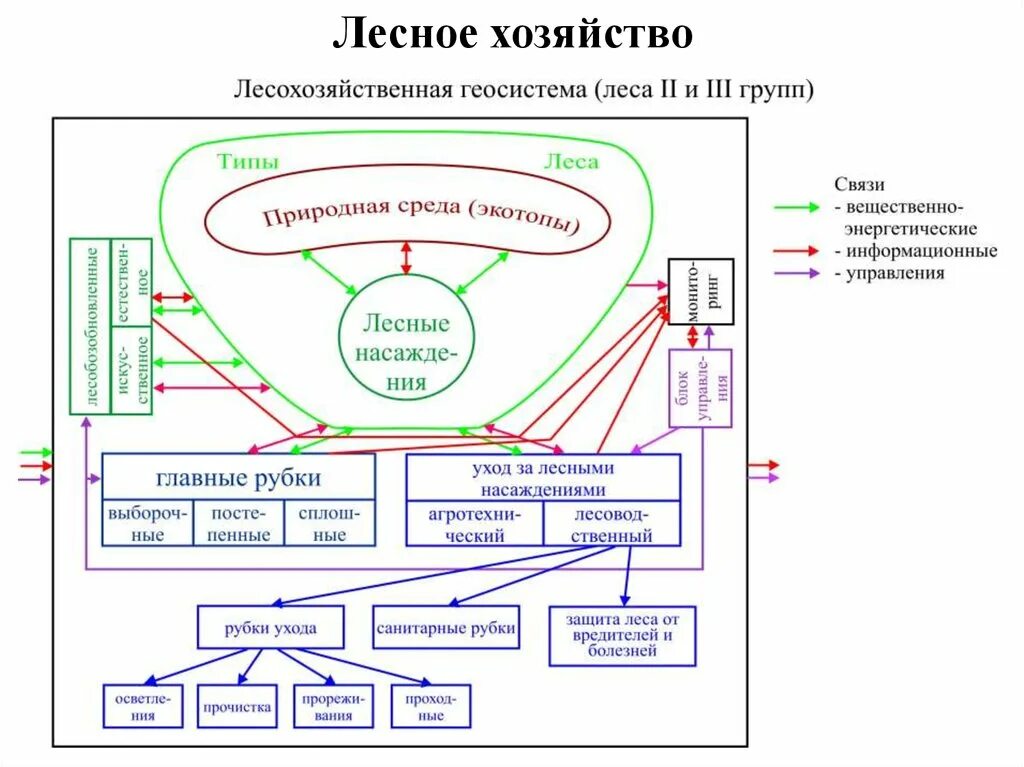 Природно хозяйственные системы. Примеры геосистем. Схема геосистемы. Типы ландшафтных геосистем. Геосистемы регионального уровня.