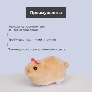 Ежедневный код хомяк 9 июля