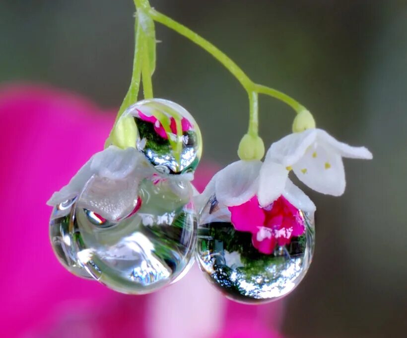 капелька 16. капелька 16. макросъемка. капелька 16. призматические хрустальные подвески citilux.