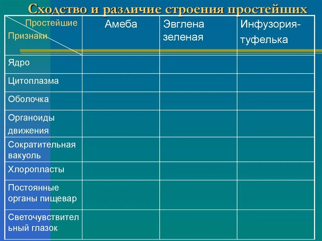 Сходства и различие простейших