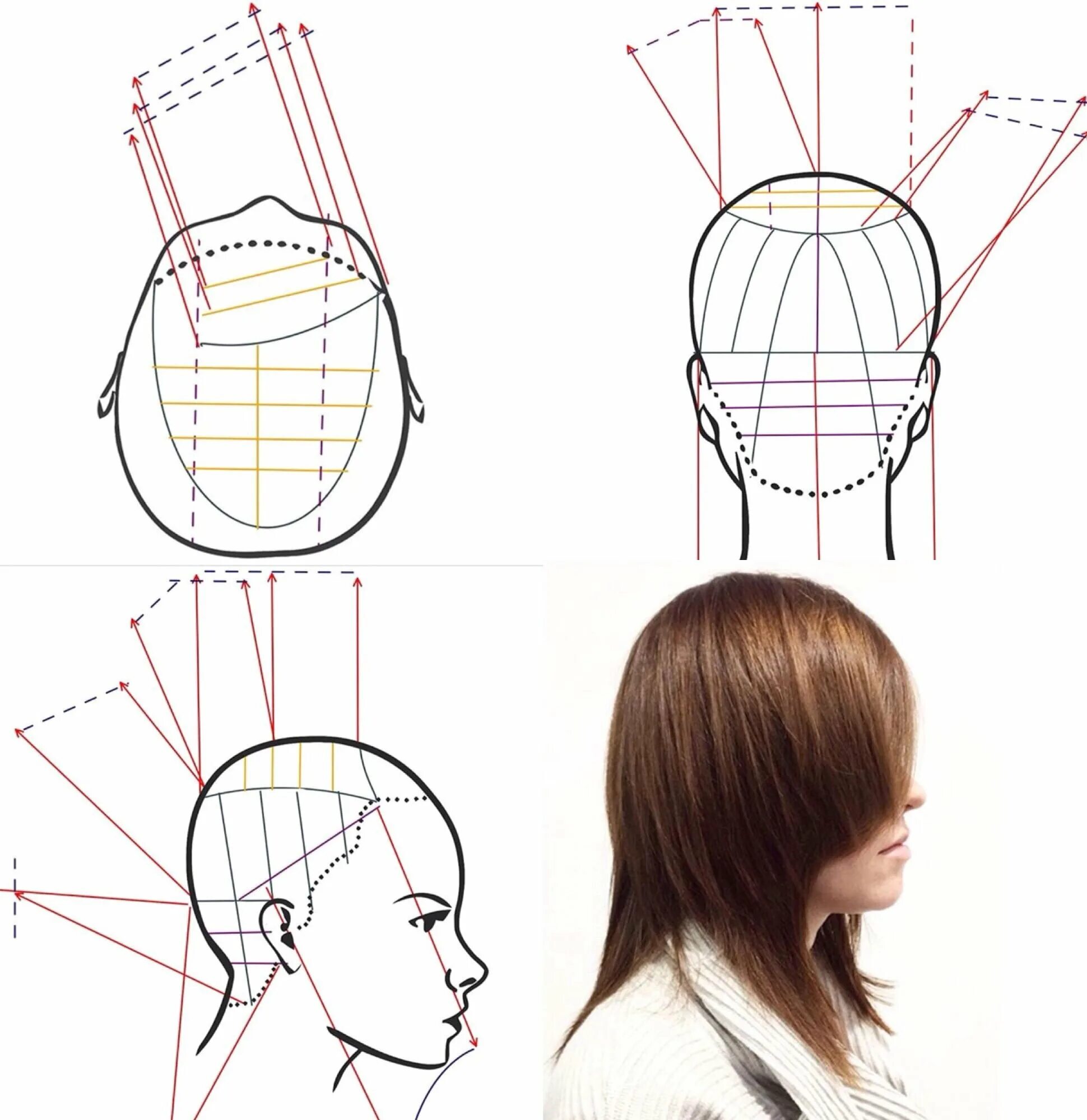 Техника стрижки средних волос. Схема стрижки Боб каре градуированное. Технология стрижки Каскад пошагово. Схема стрижки Каскад на удлинение. Технология стрижки градуированное каре схема.