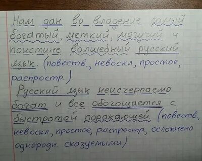 Синтаксический разбор порой высокие тополя шумно
