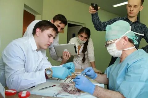Хирургия студентам