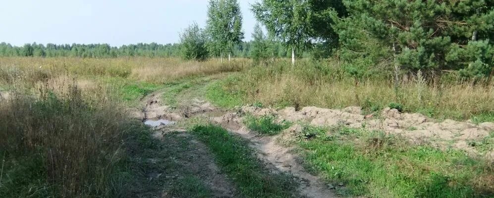 Село новый путь Вознесенский район Нижегородской областью. Деревня новый путь Вознесенский район. Новый путь поселок. Поселок путь Ленина Вознесенский район группа.