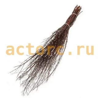 Метелка березовая