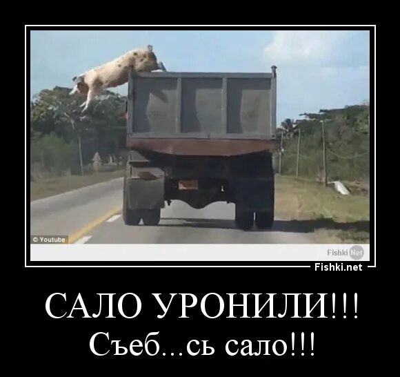 Видали как я дал по съебам
